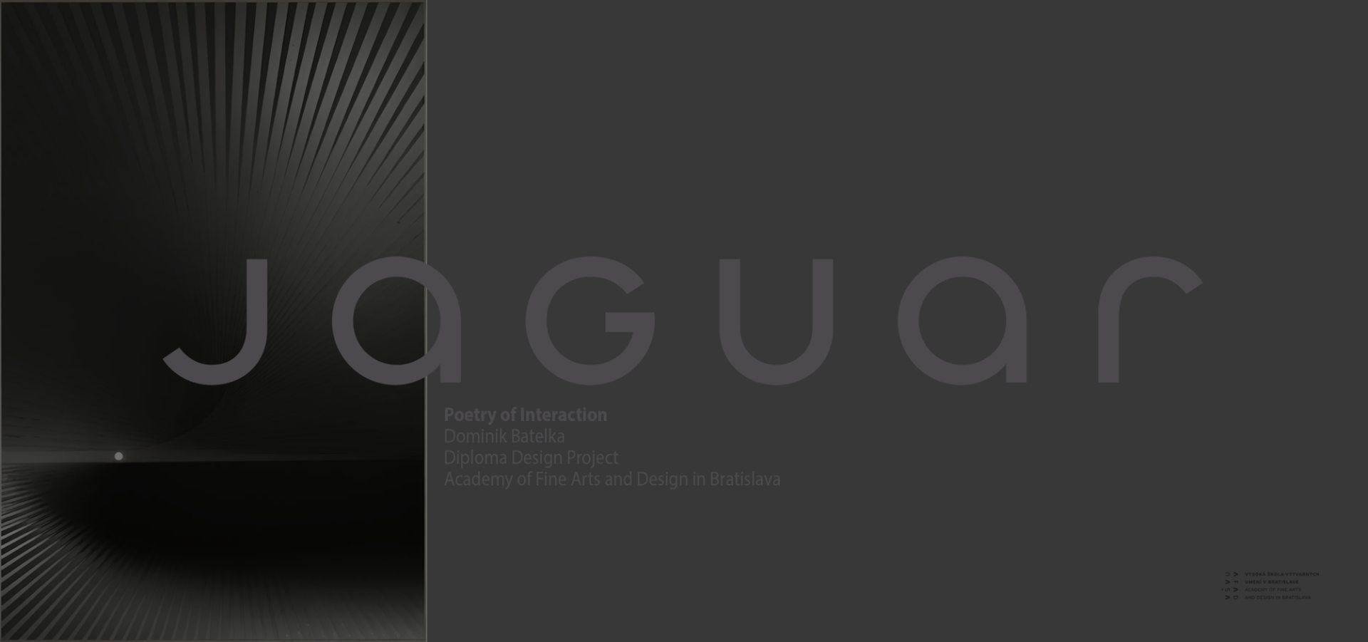 JAGUAR Poetry of Interaction